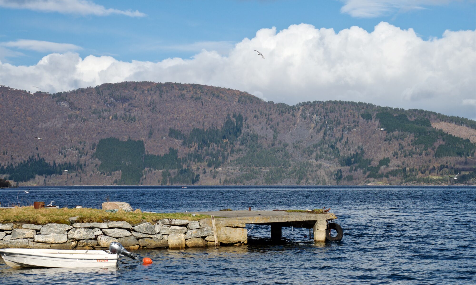 The Tjelle Rock Avalanche seen from Vistdal on the other side of Langfjorden.