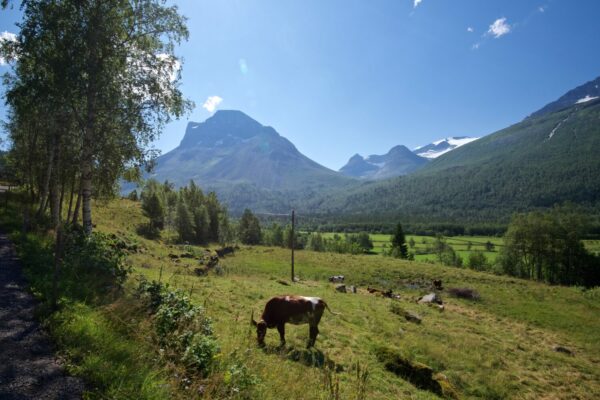 The hike to Innerdalen in Trollheimen.