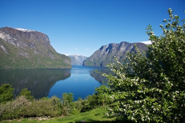 From the road between Stegastein viewpoint and Aurland. View towards the Aurlandsfjord.