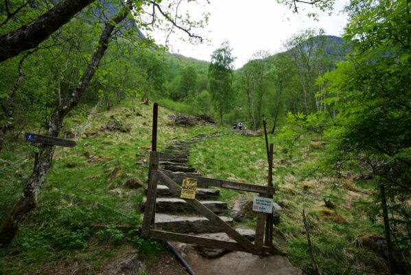 From the trail towards Brekkefossen in Flåm.