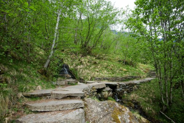From the trail towards Brekkefossen in Flåm.
