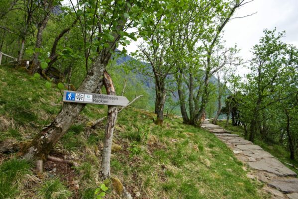 From the trail towards Brekkefossen in Flåm.