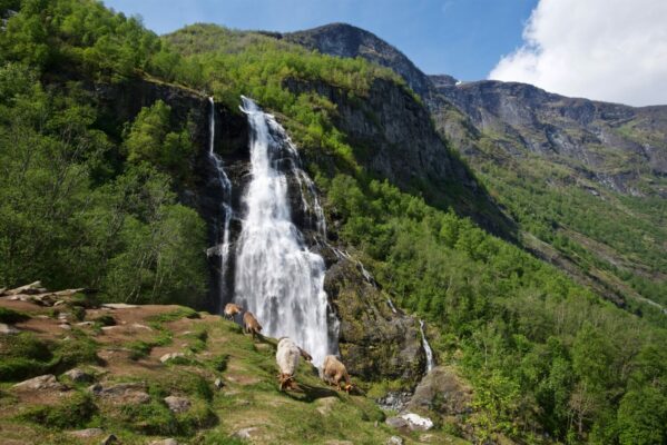 Brekkefossen Waterfall in Flåm.