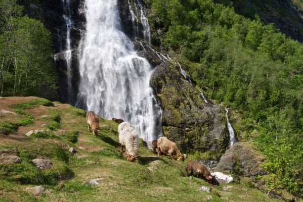 Brekkefossen Waterfall in Flåm.
