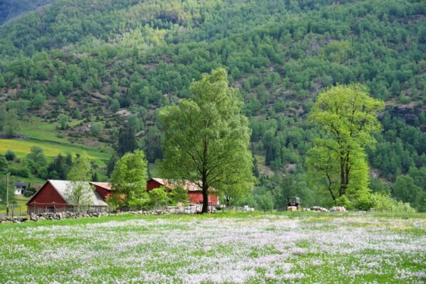 Scenes from the area around Flåm.
