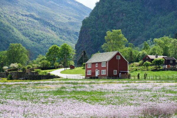 Scenes from the area around Flåm.