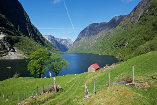 Fjord farm by the UNESCO Protected Nærøyfjord.