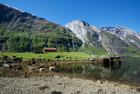 Kayaking on the UNESCO Protected Nærøyfjord.