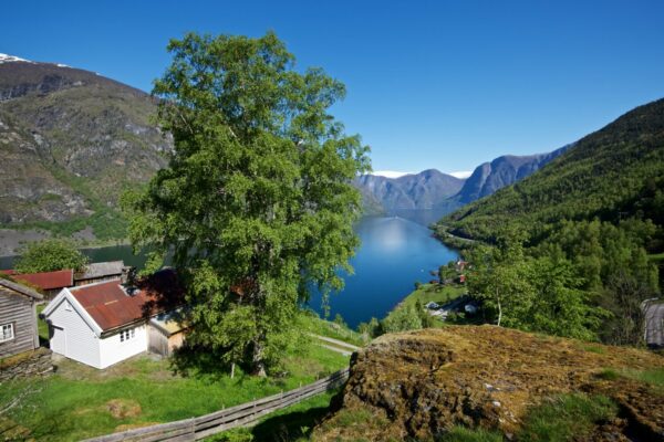Otternes Farm Yard in the hills above the Aurlandsfjord, between Aurland and Flåm.